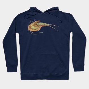 Triops longicaudatus Hoodie